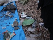 Гринпис: главные загрязнители Байкала - пластиковые бутылки 